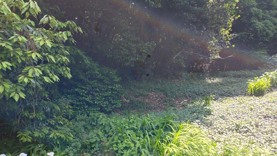 引地山城