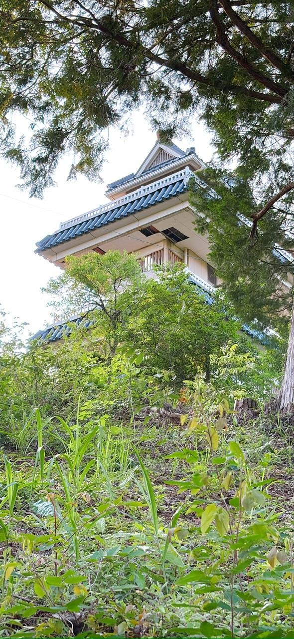 小倉山城