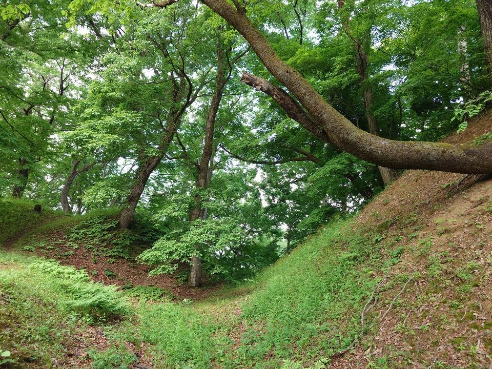 箕冠城