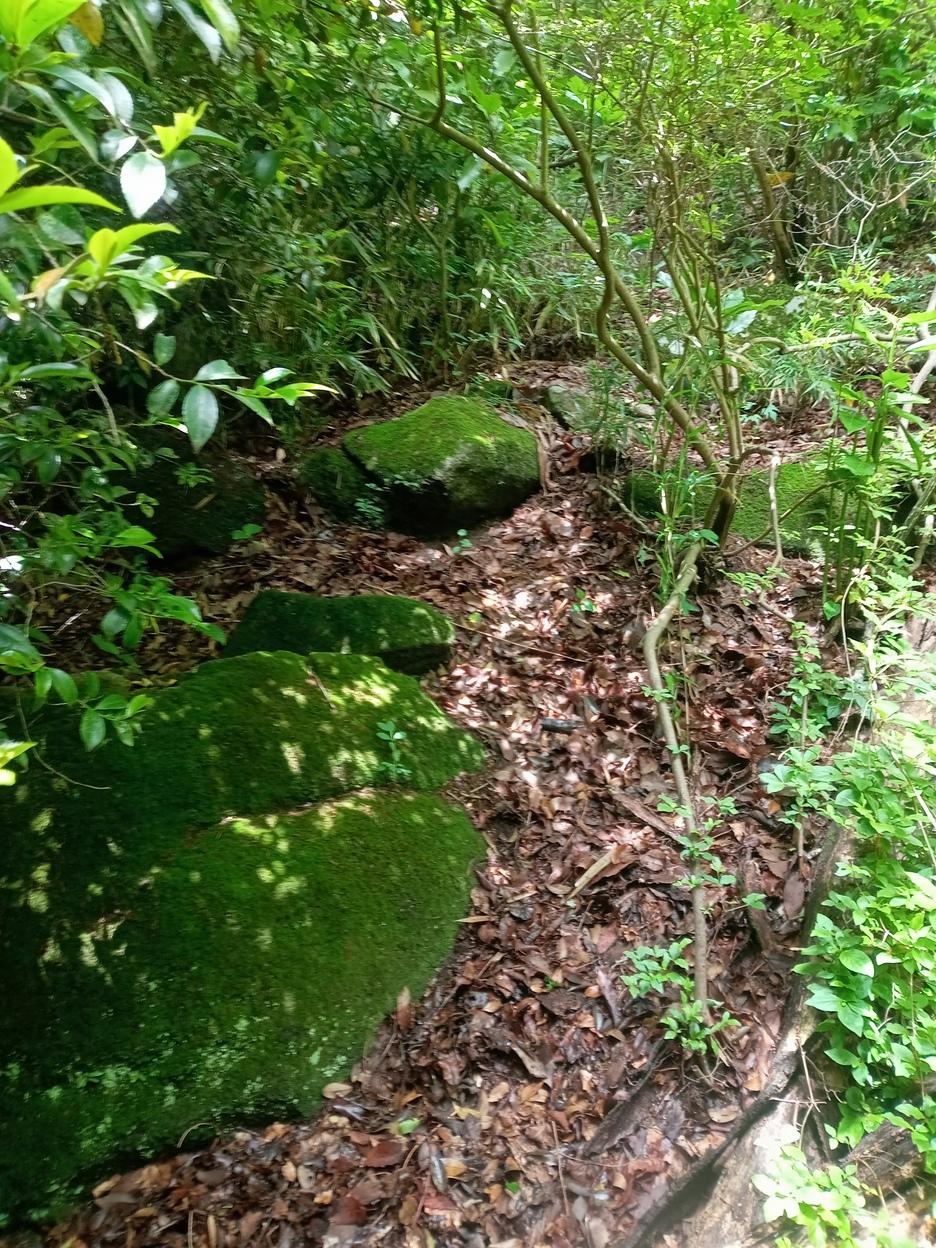 難台山城