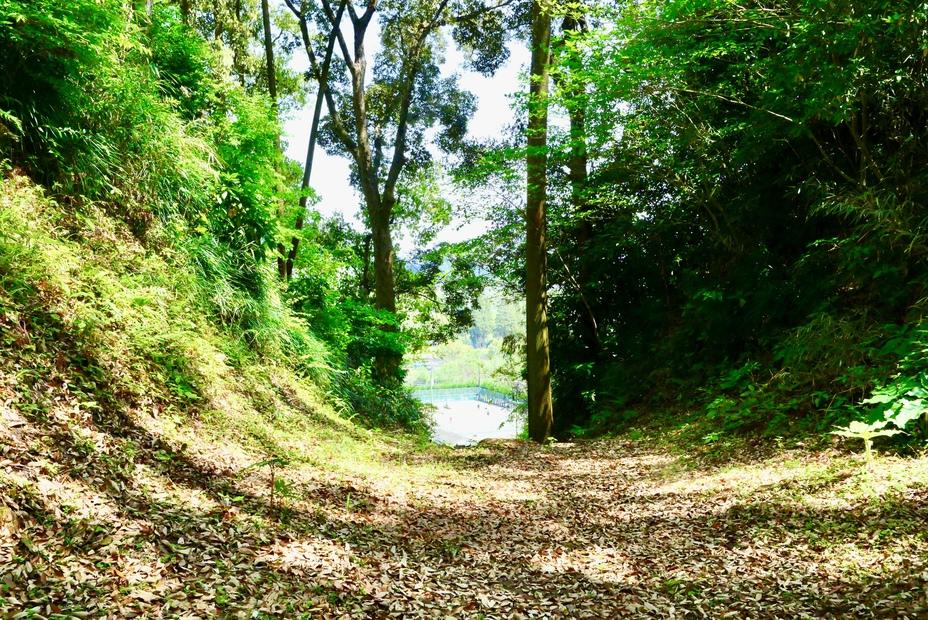 穆佐城