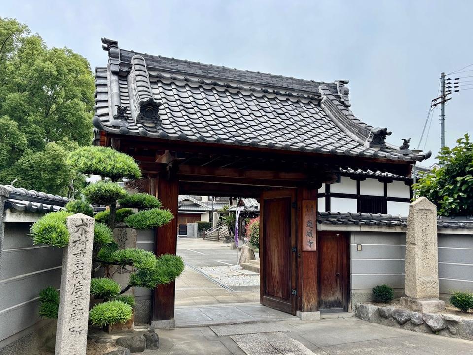 若江城