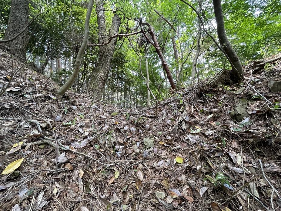 西屋城