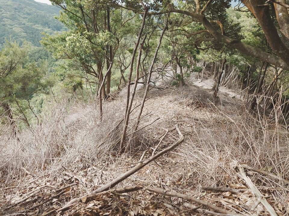 深川城