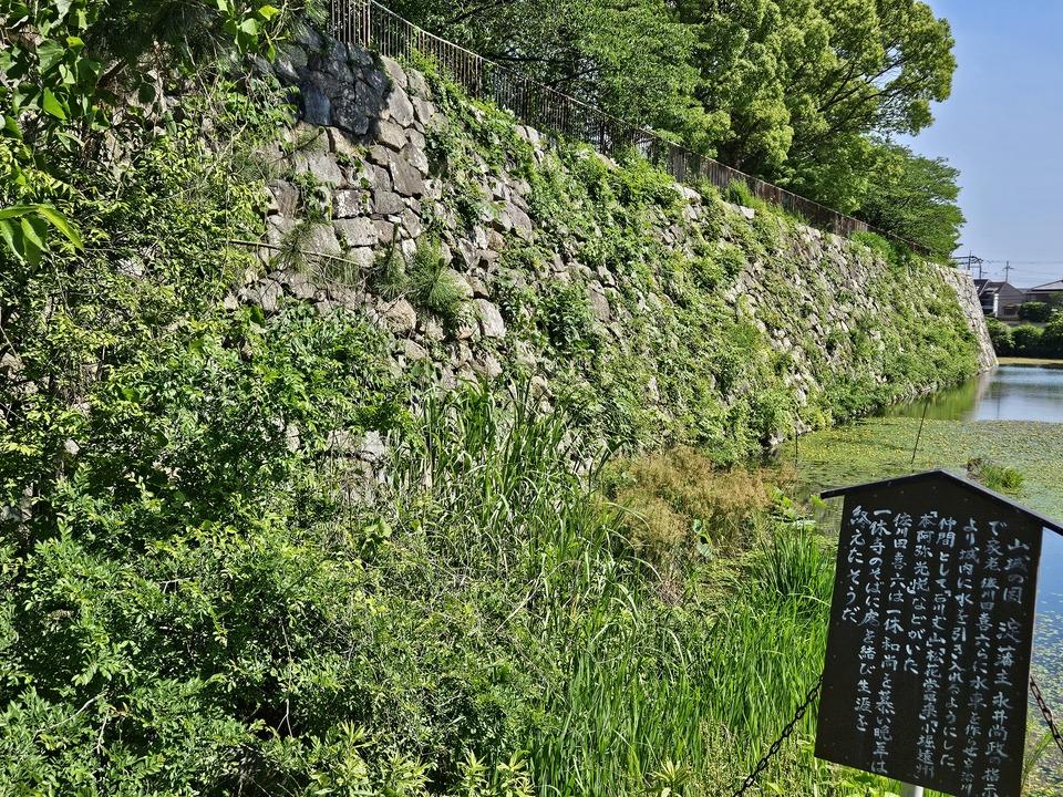 淀城