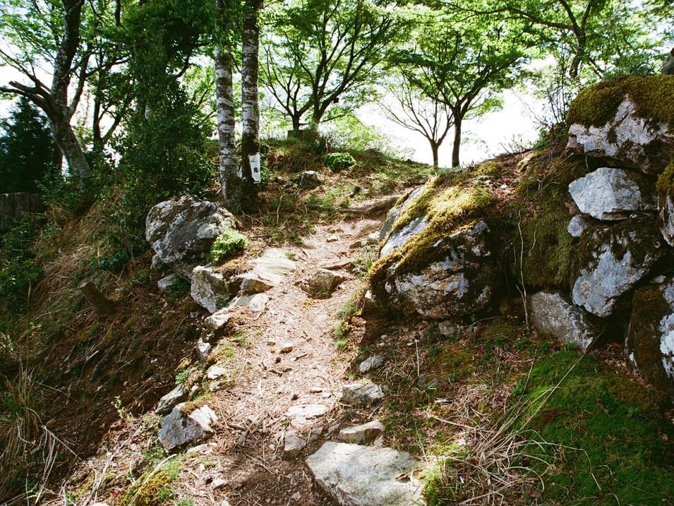 金山城