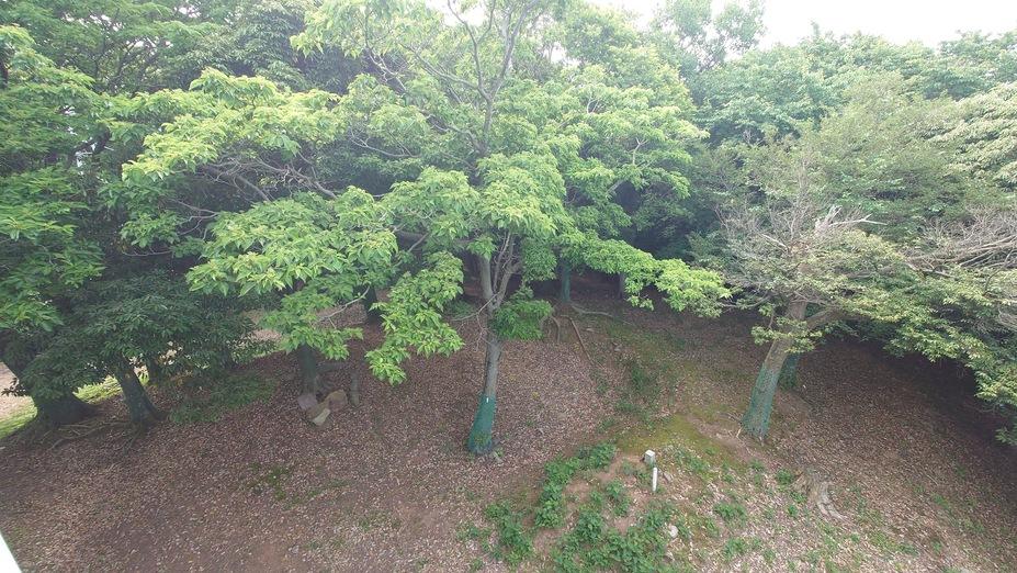 朝倉山城