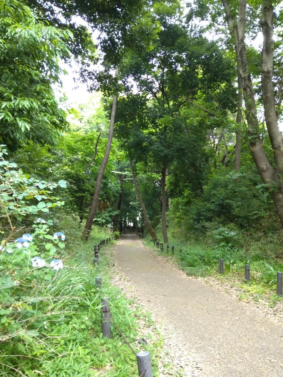 茅ケ崎城