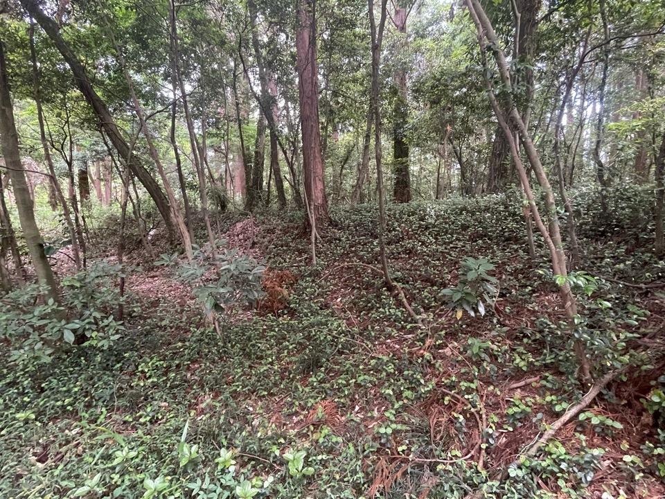 田波目城