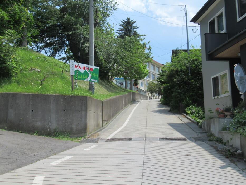 新田城