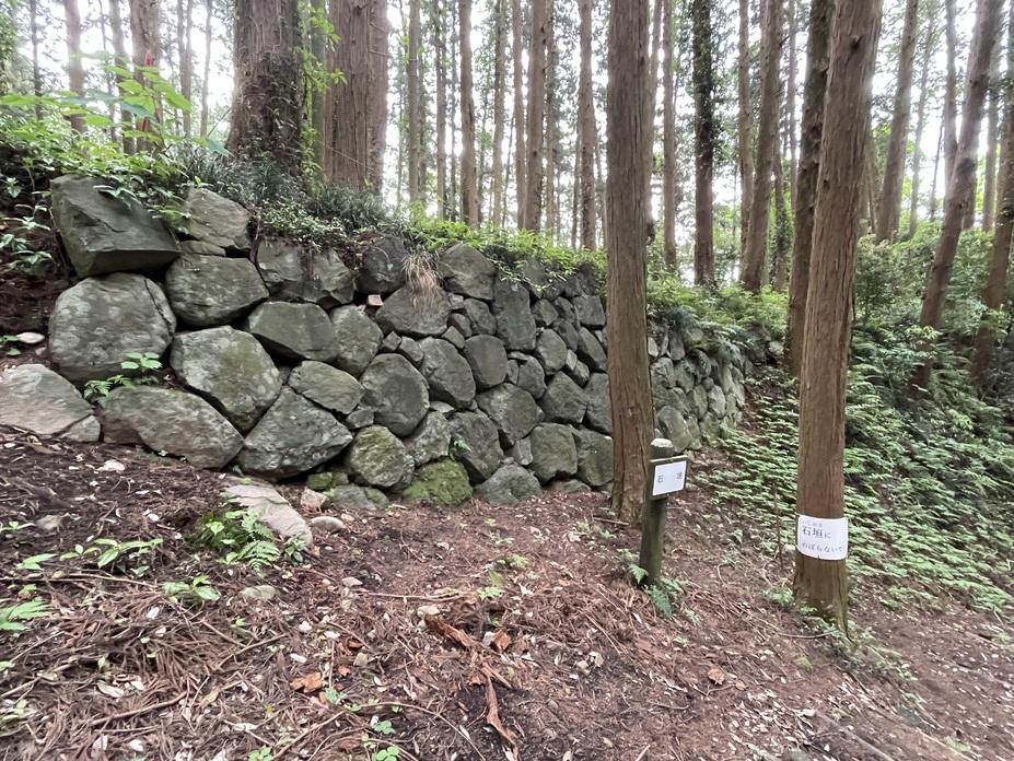 烏山城