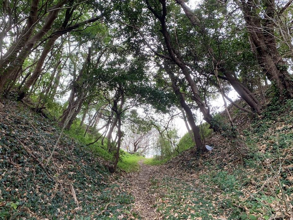 丸山城