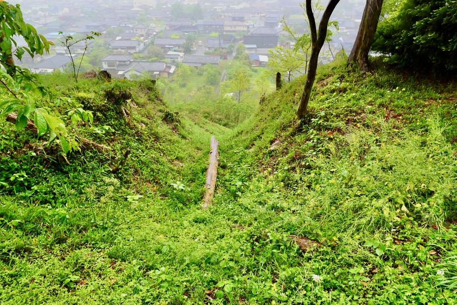 高城
