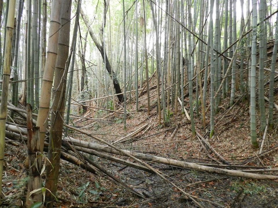 三ツ木城