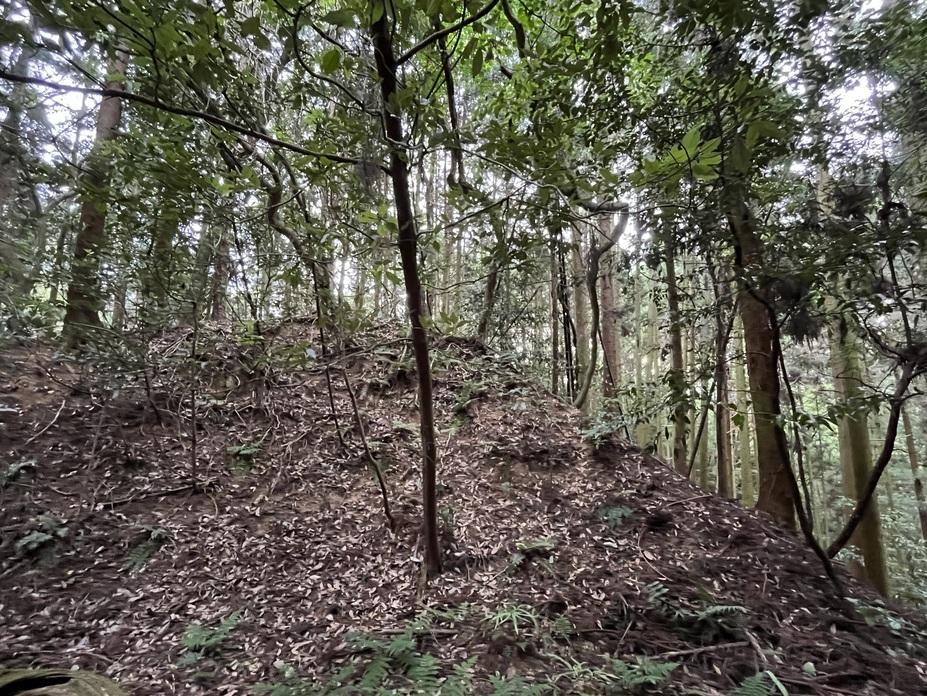 鷹ヶ森城
