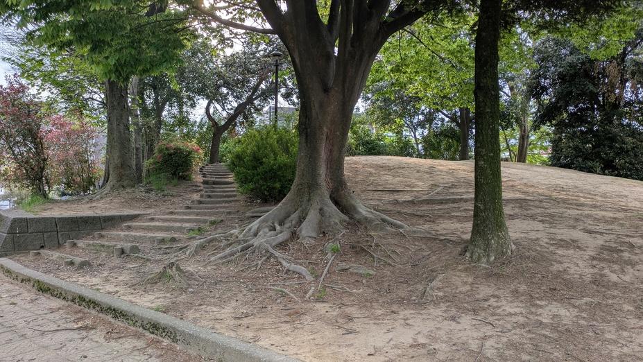 押野館