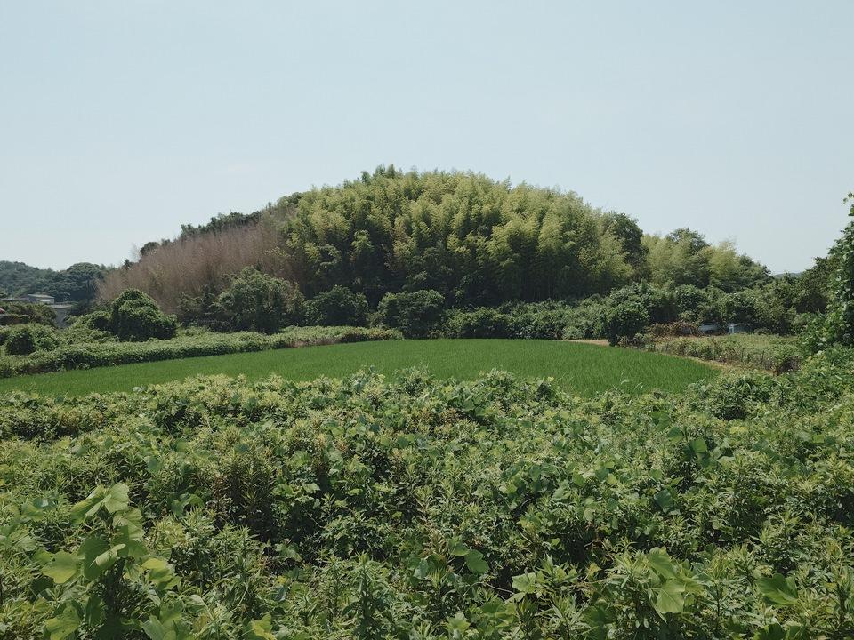 郡家城