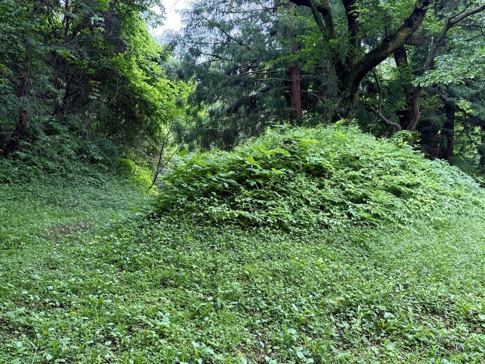 白川城