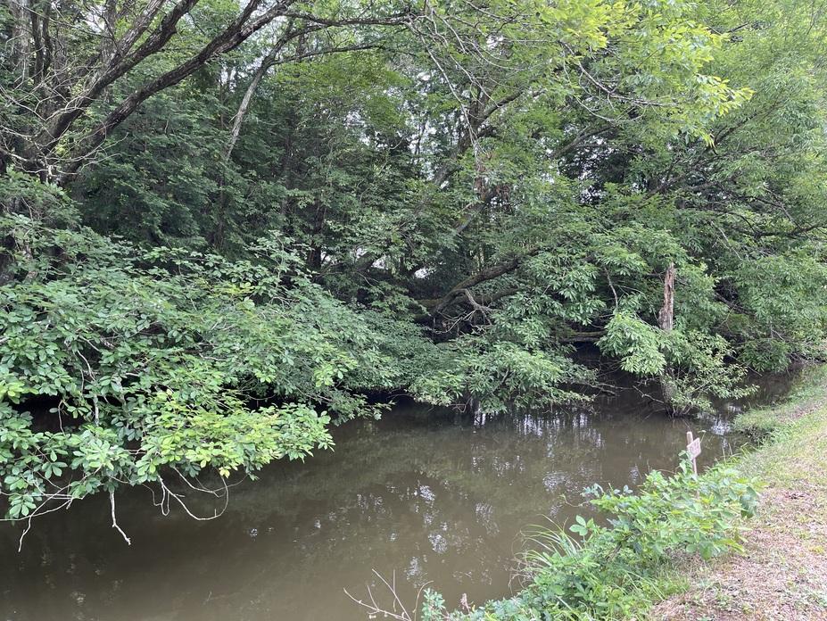佐治城