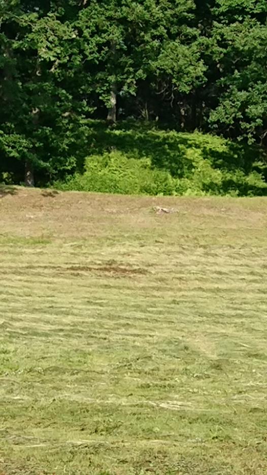 ユクエピラチャシ