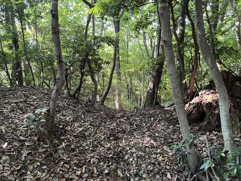 茶臼山城