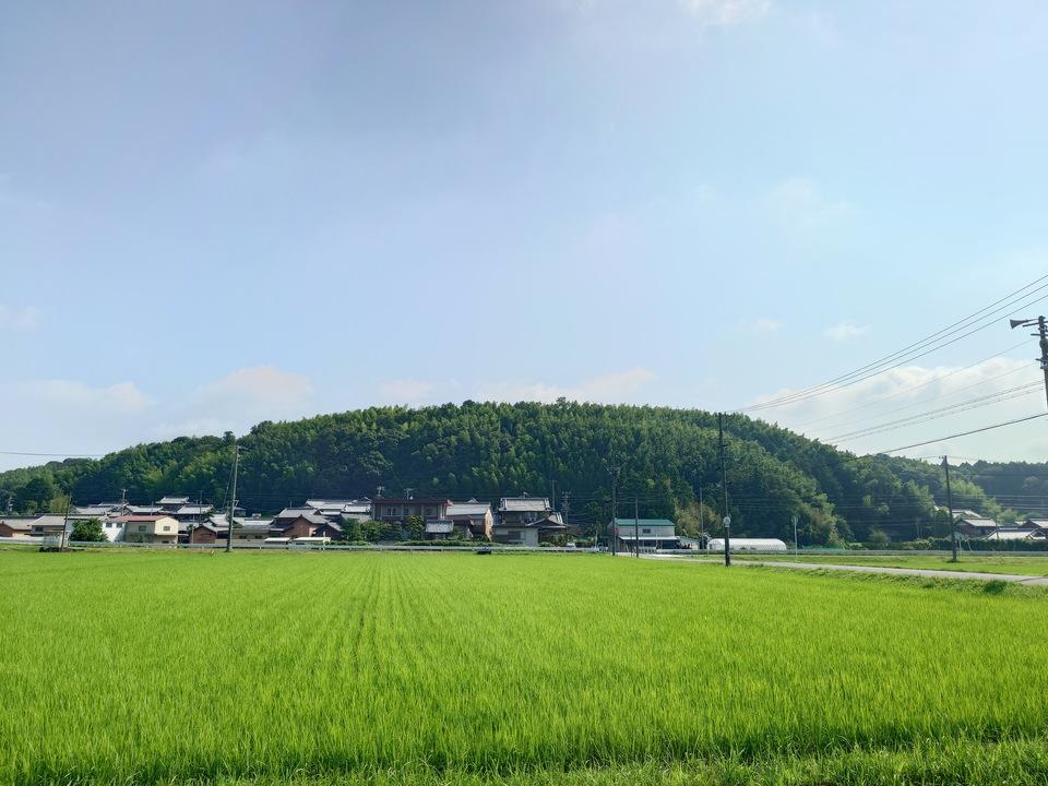 安濃城