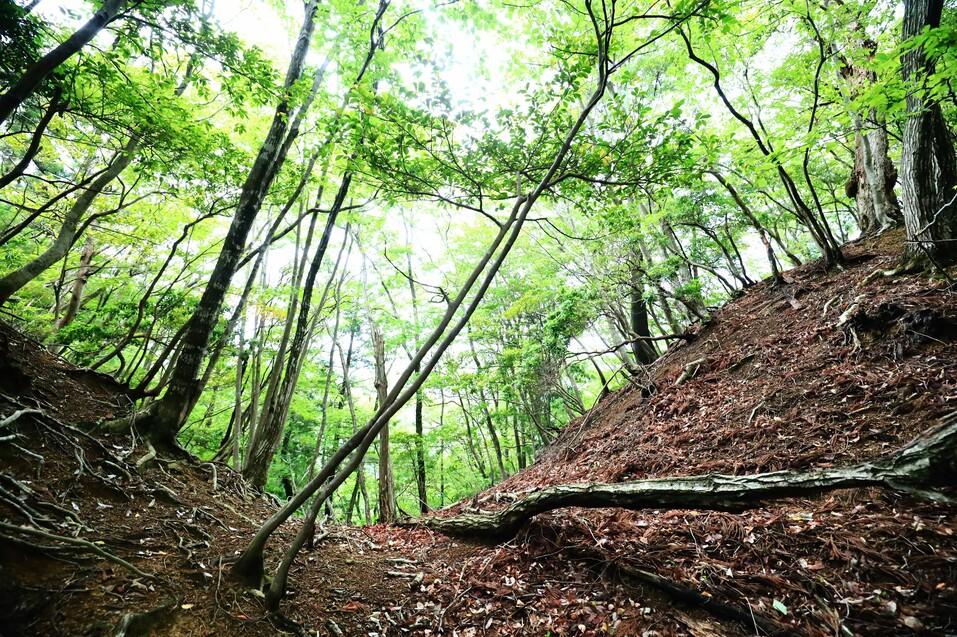 谷小屋城