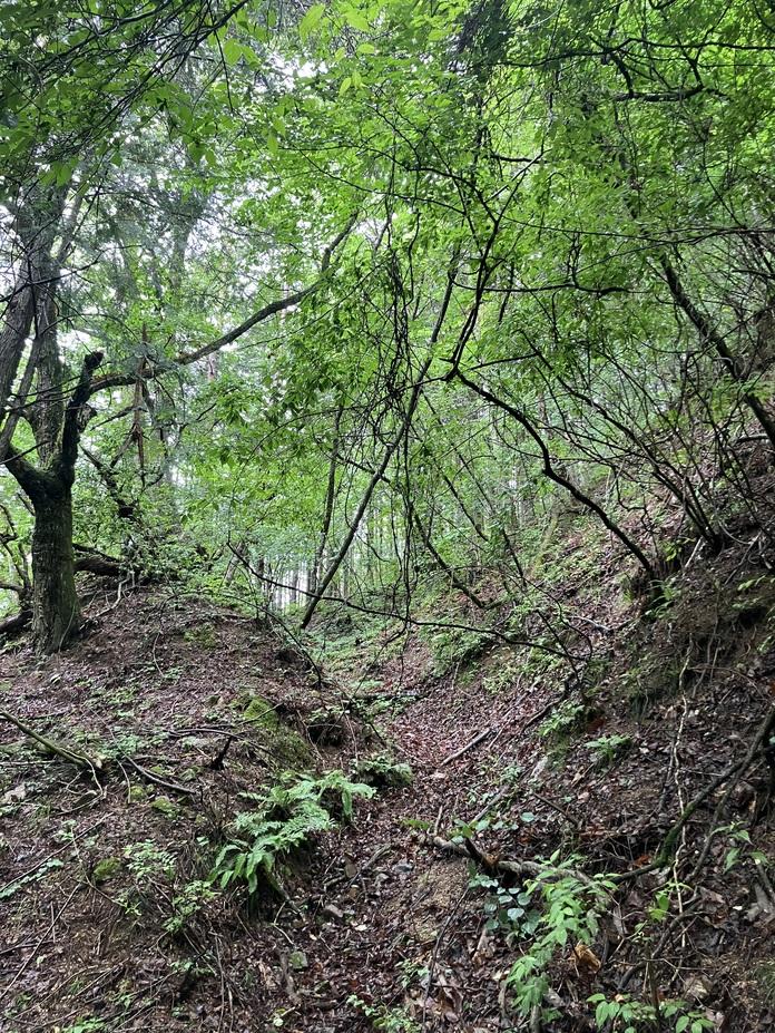 駒場城