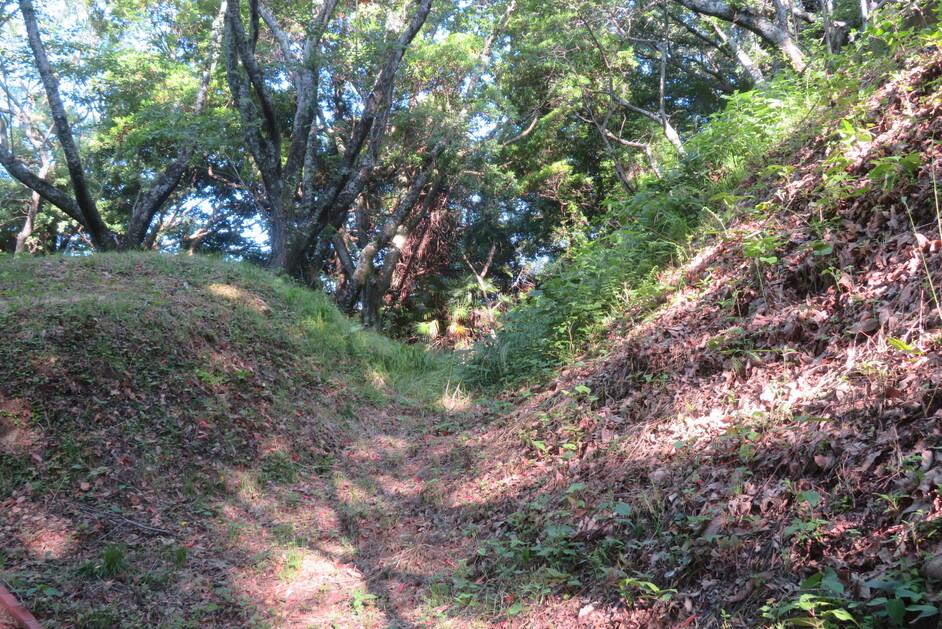 高仙山城