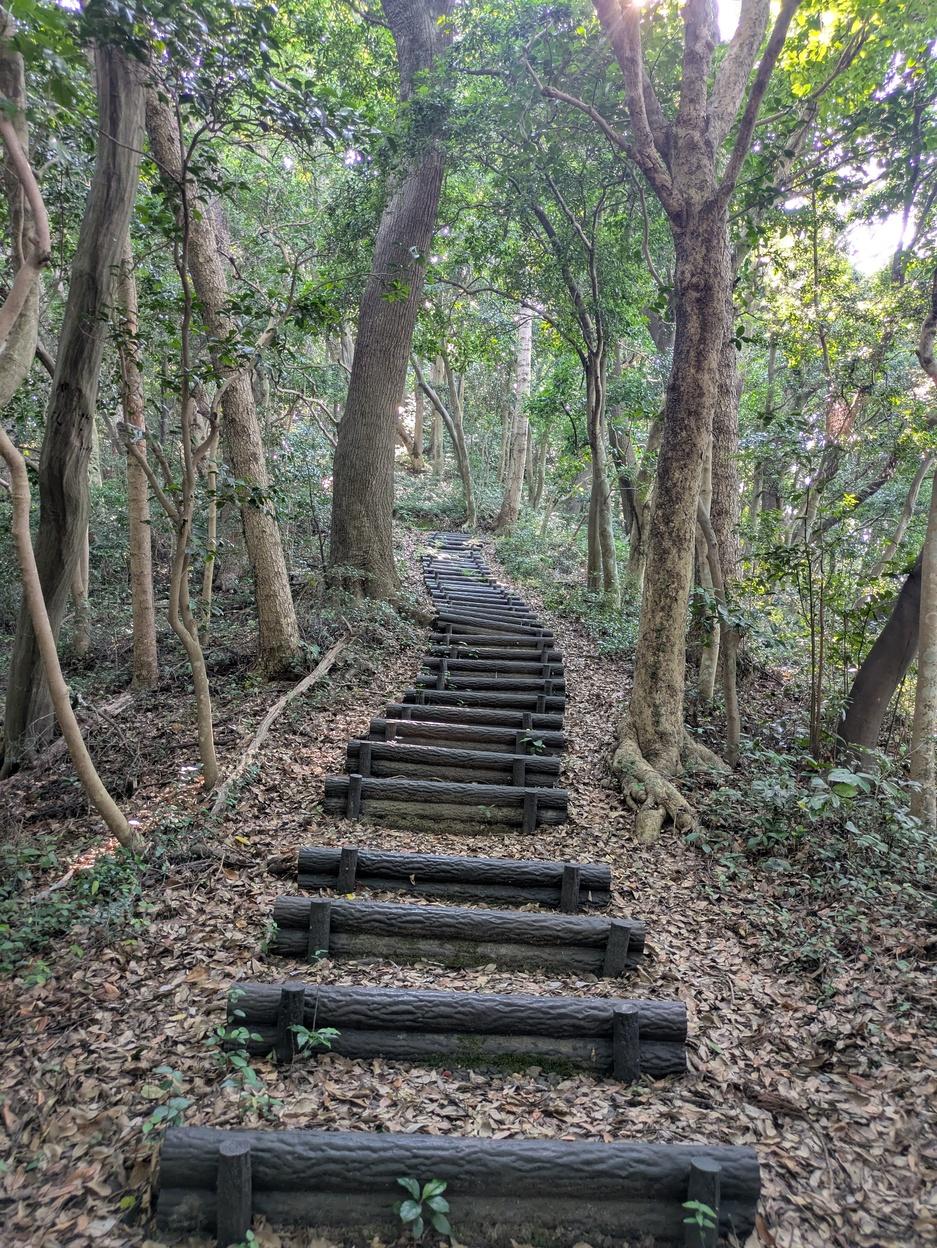 十神山城