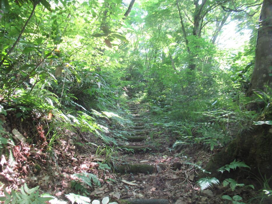 津川城