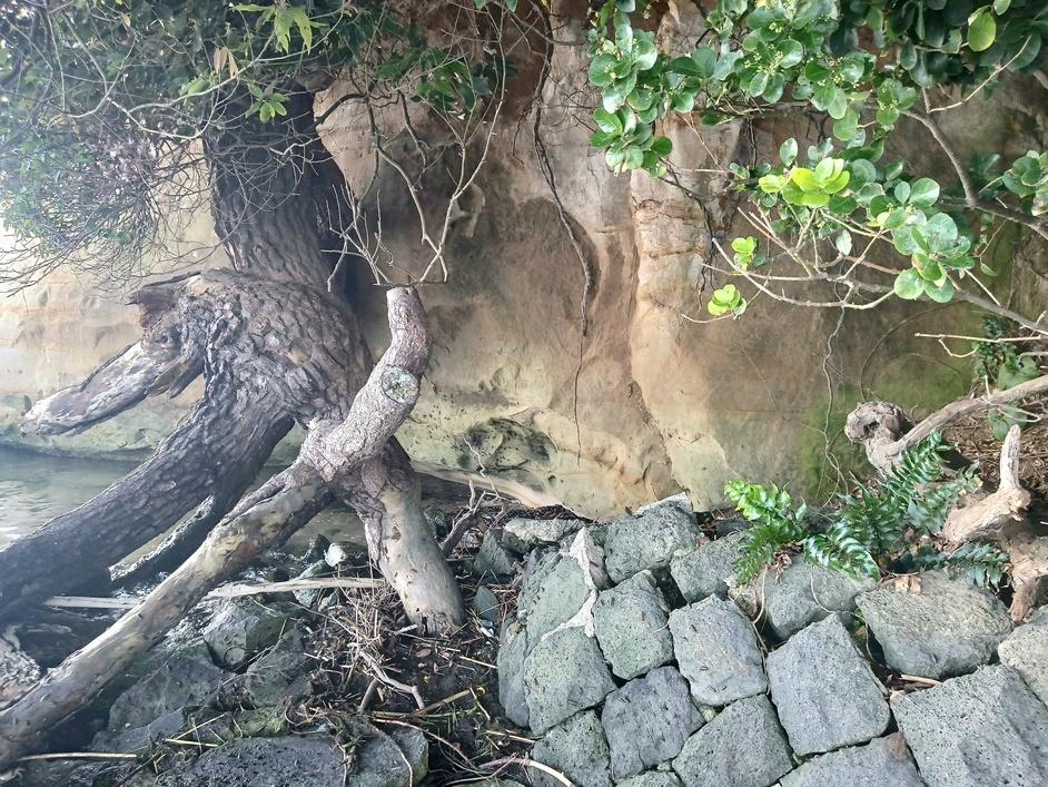 満願寺城