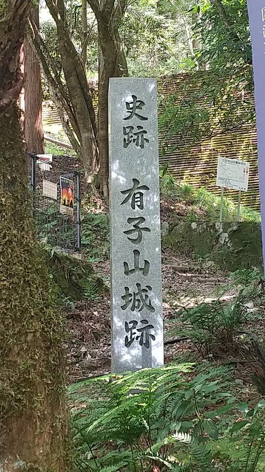 山名氏城館