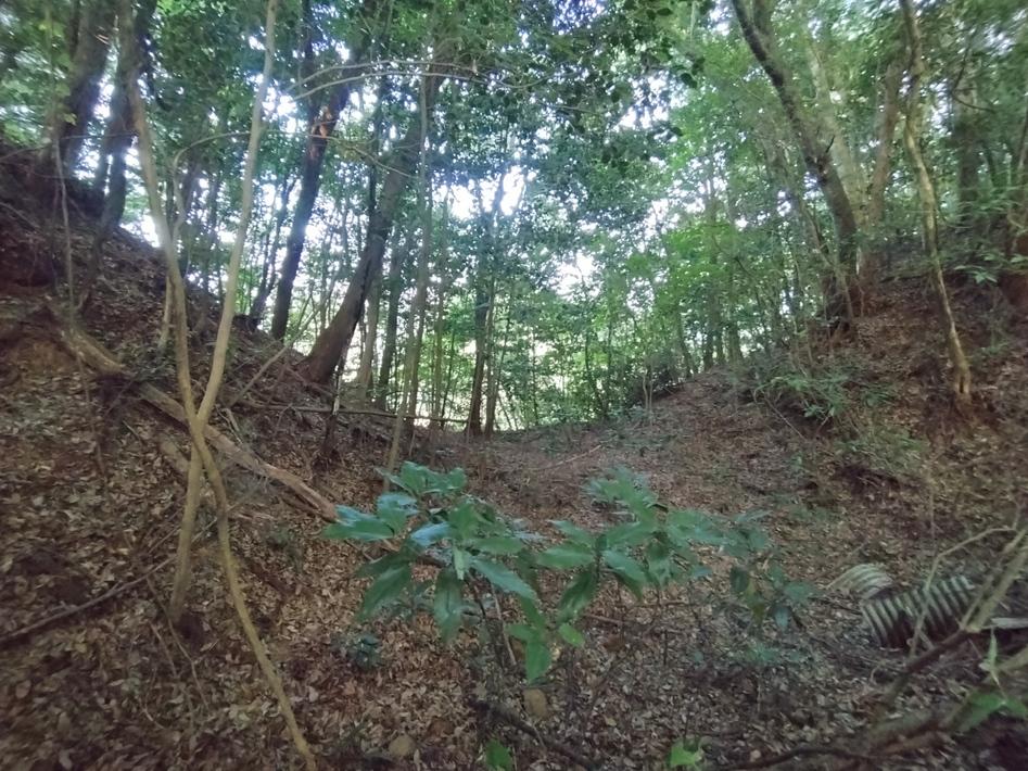 紙屋城
