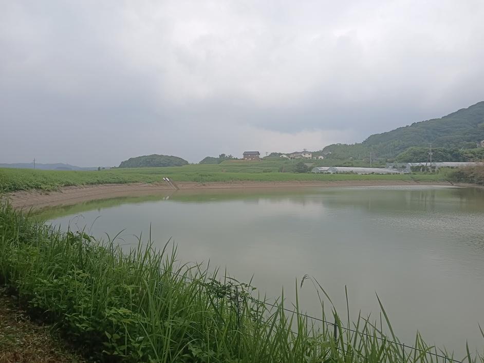 親山城