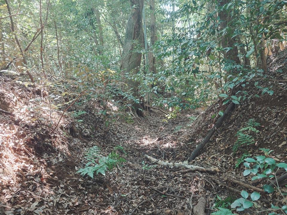 針尾城