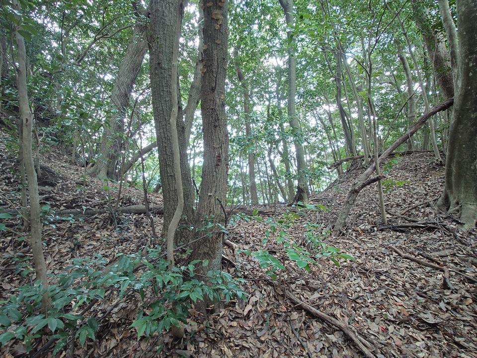 広田城