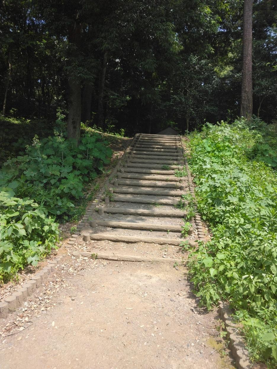 鶉古城