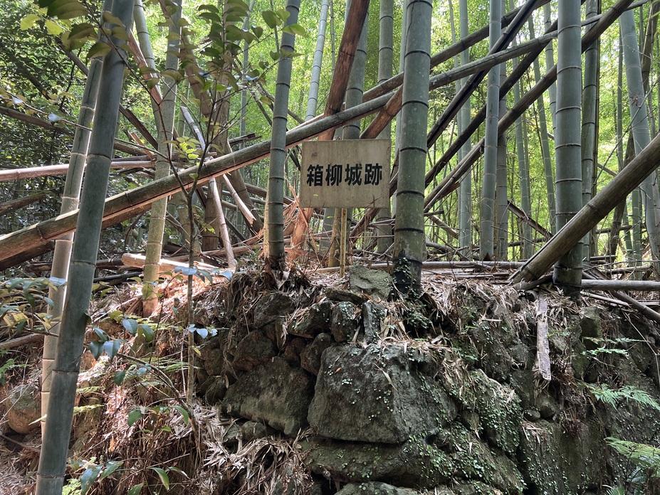 箱柳城