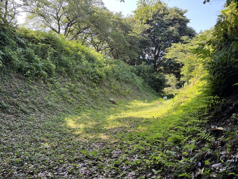 尾高城