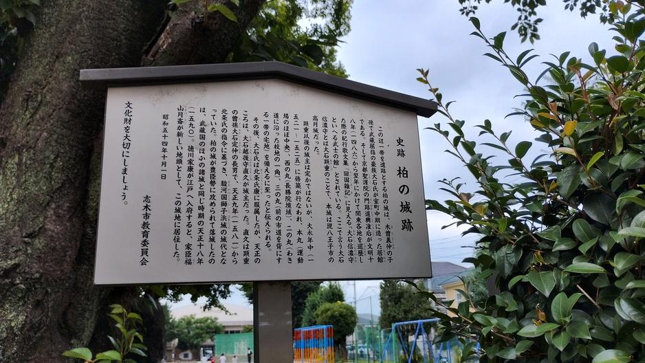 柏の城