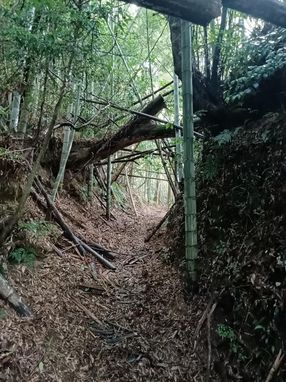 鶴が岡城