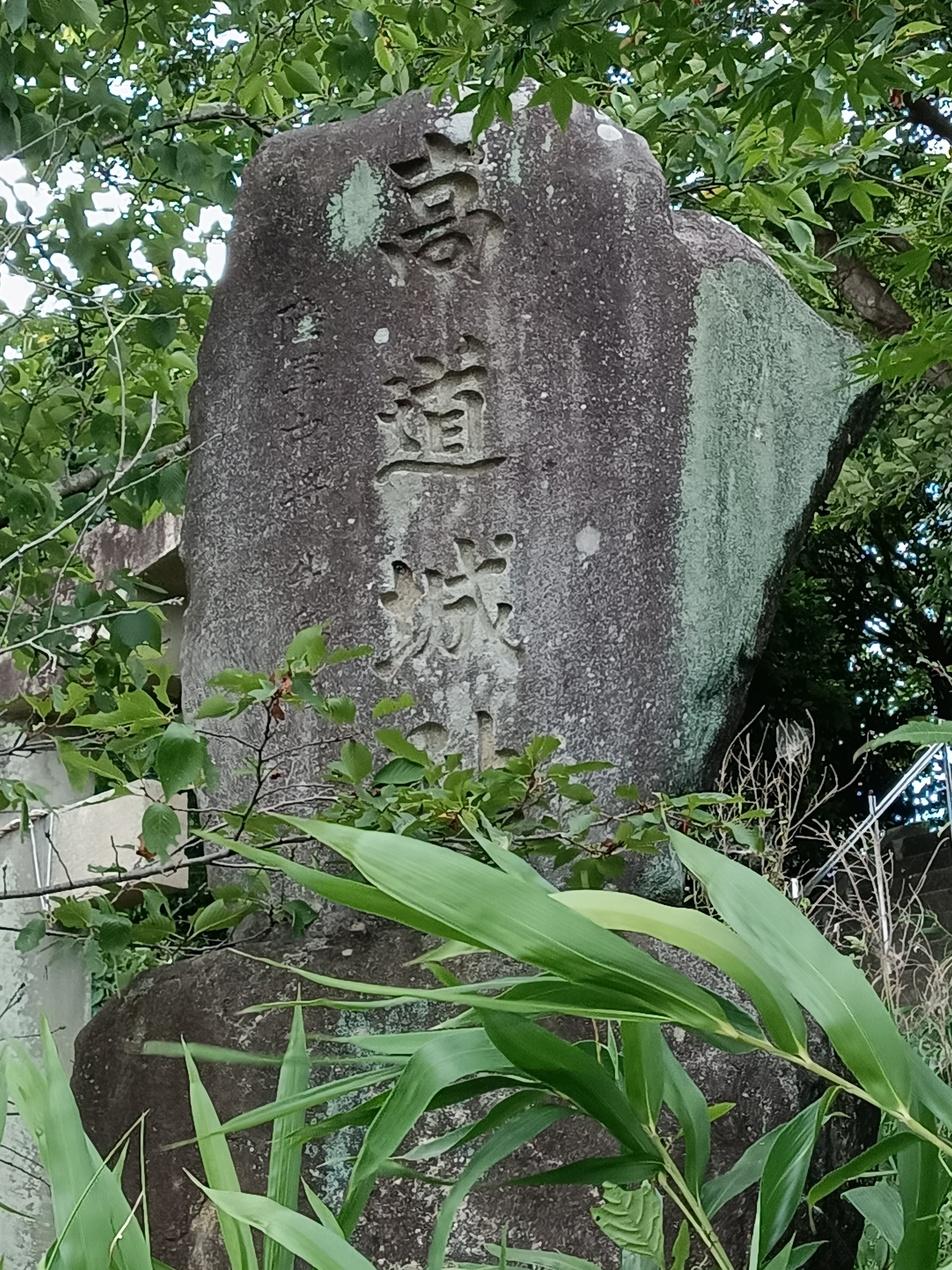 高道城