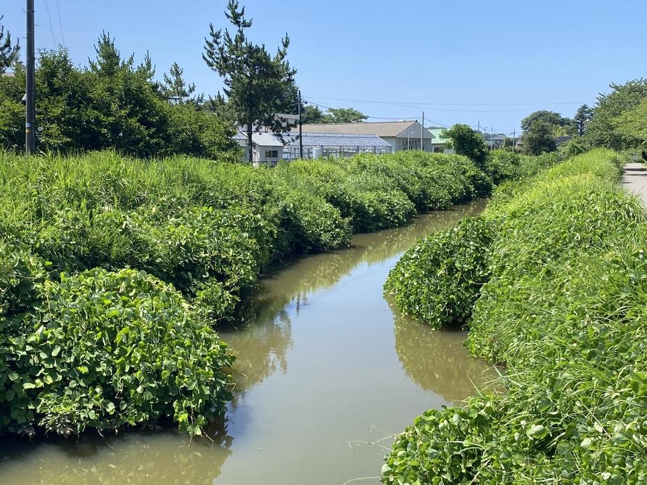 琵琶島城