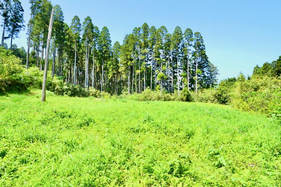 穆佐城