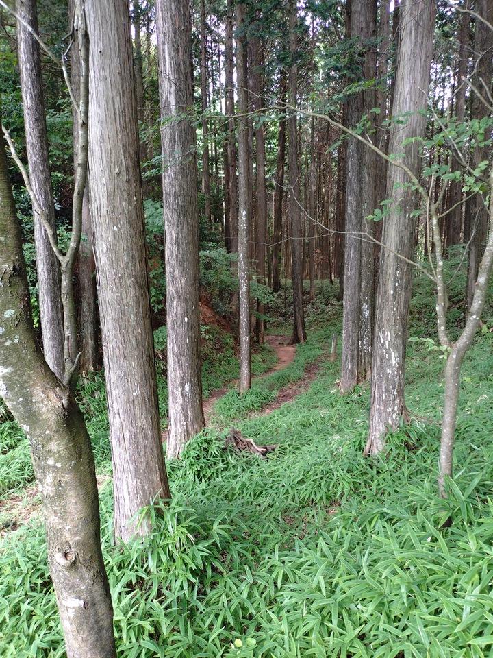 亀山城