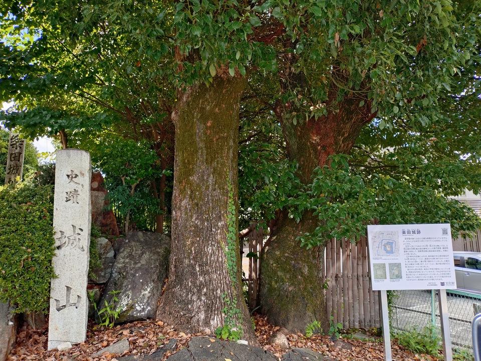 楽田城