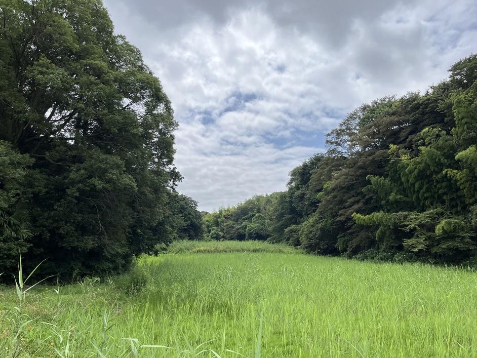 高根城