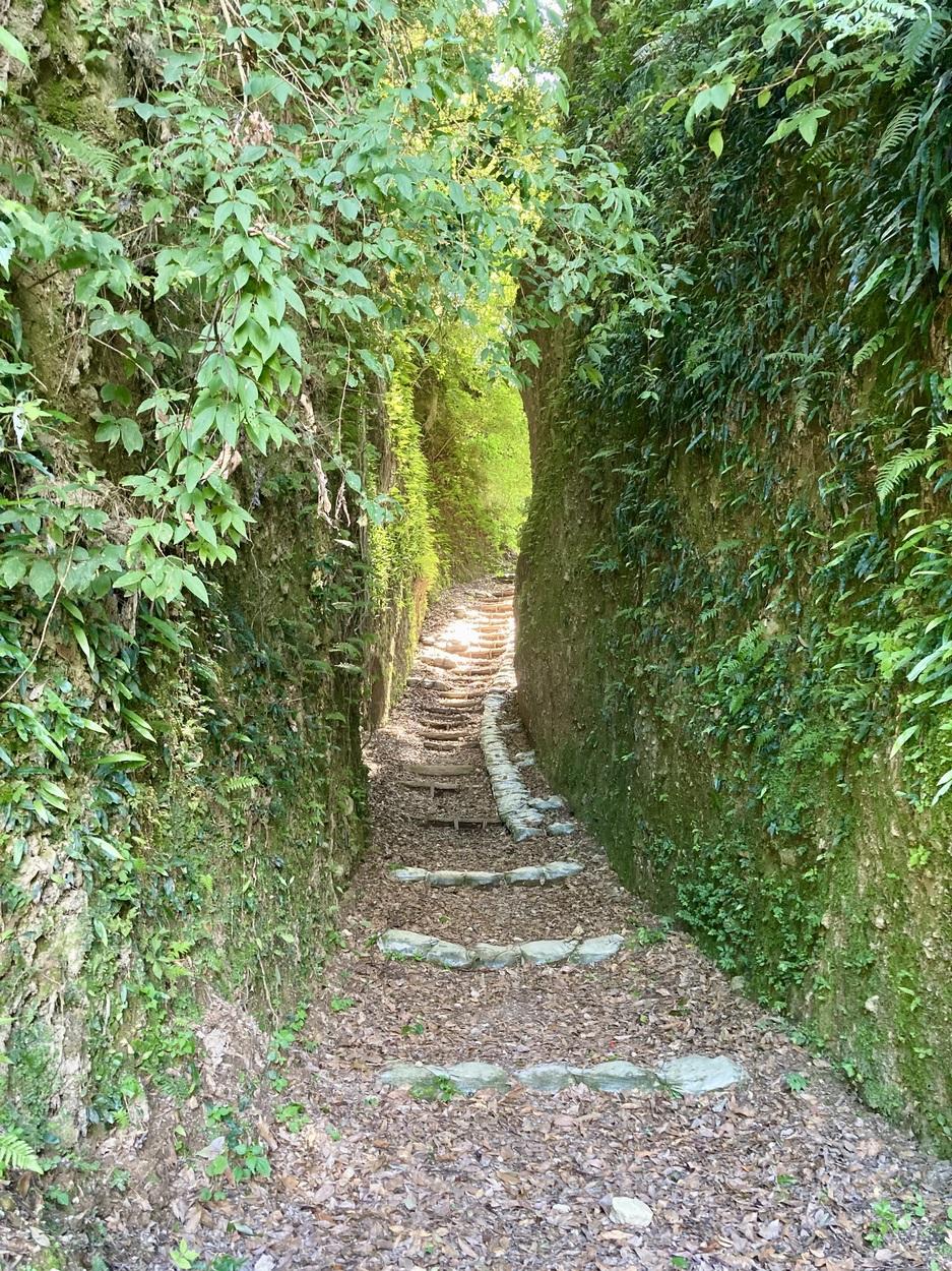 清色城