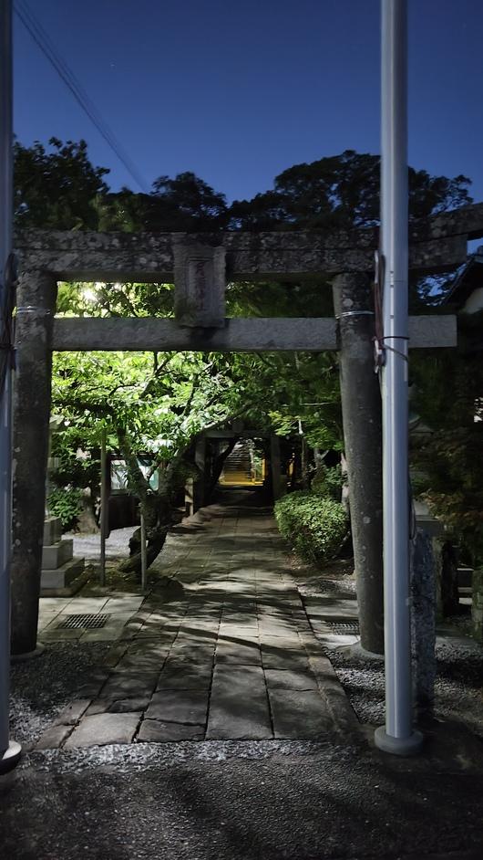 猫城